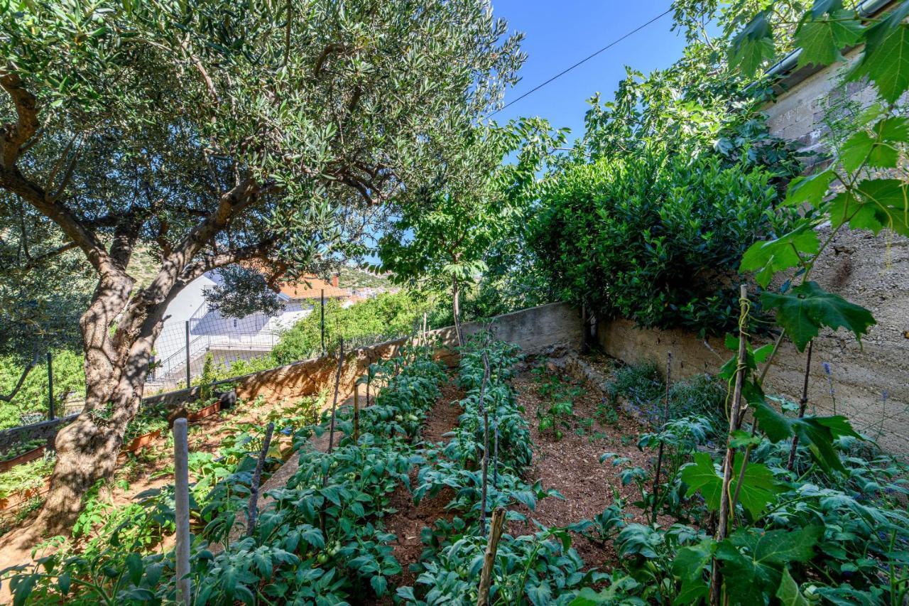 Apartments Kardum Szybenik Zewnętrze zdjęcie